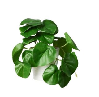 ФЕЙКА, искусственное растение в горшке, пеперомия, 9х17 см