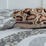 ЙЕРРНА, пододеяльник и наволочка, 150х200/50х70см, серый/абстракция, перкаль